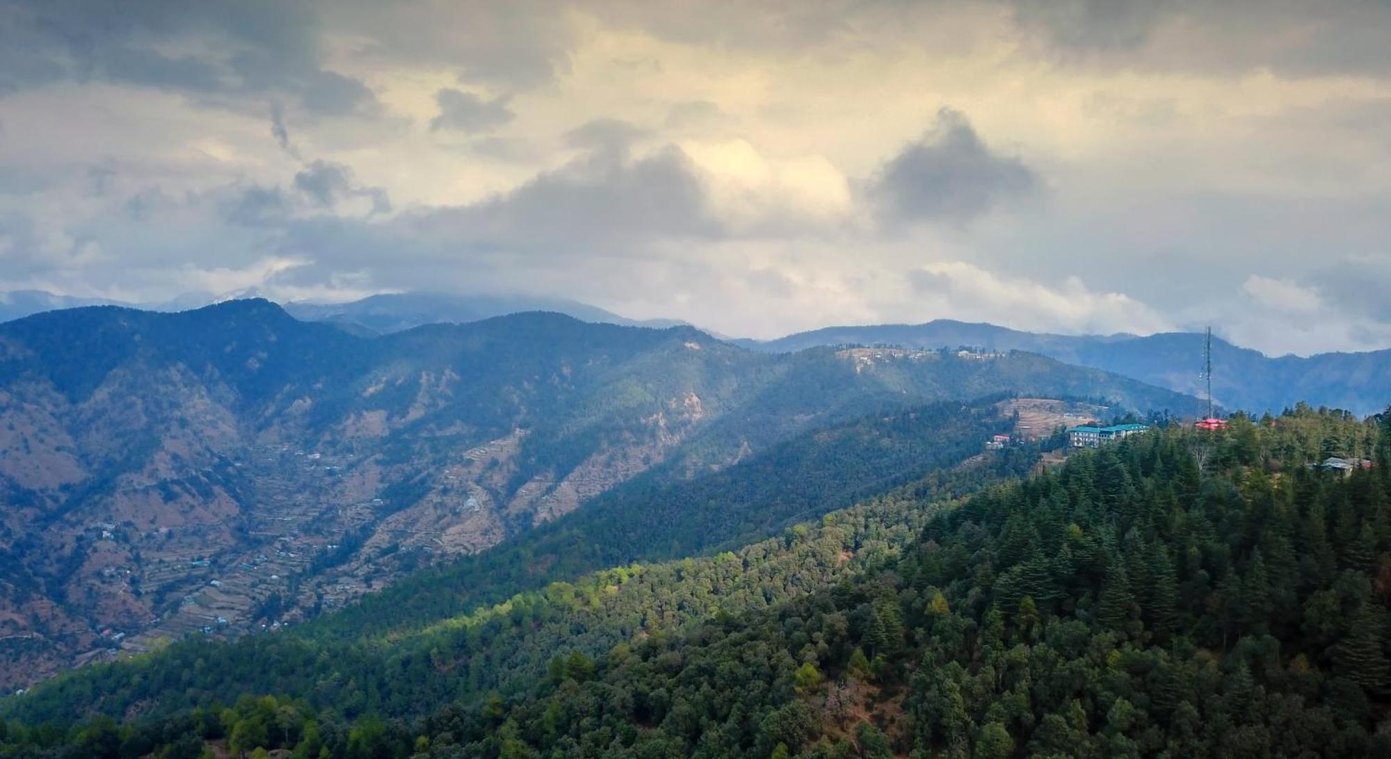 Treehouse Chail Villas Eksteriør bilde