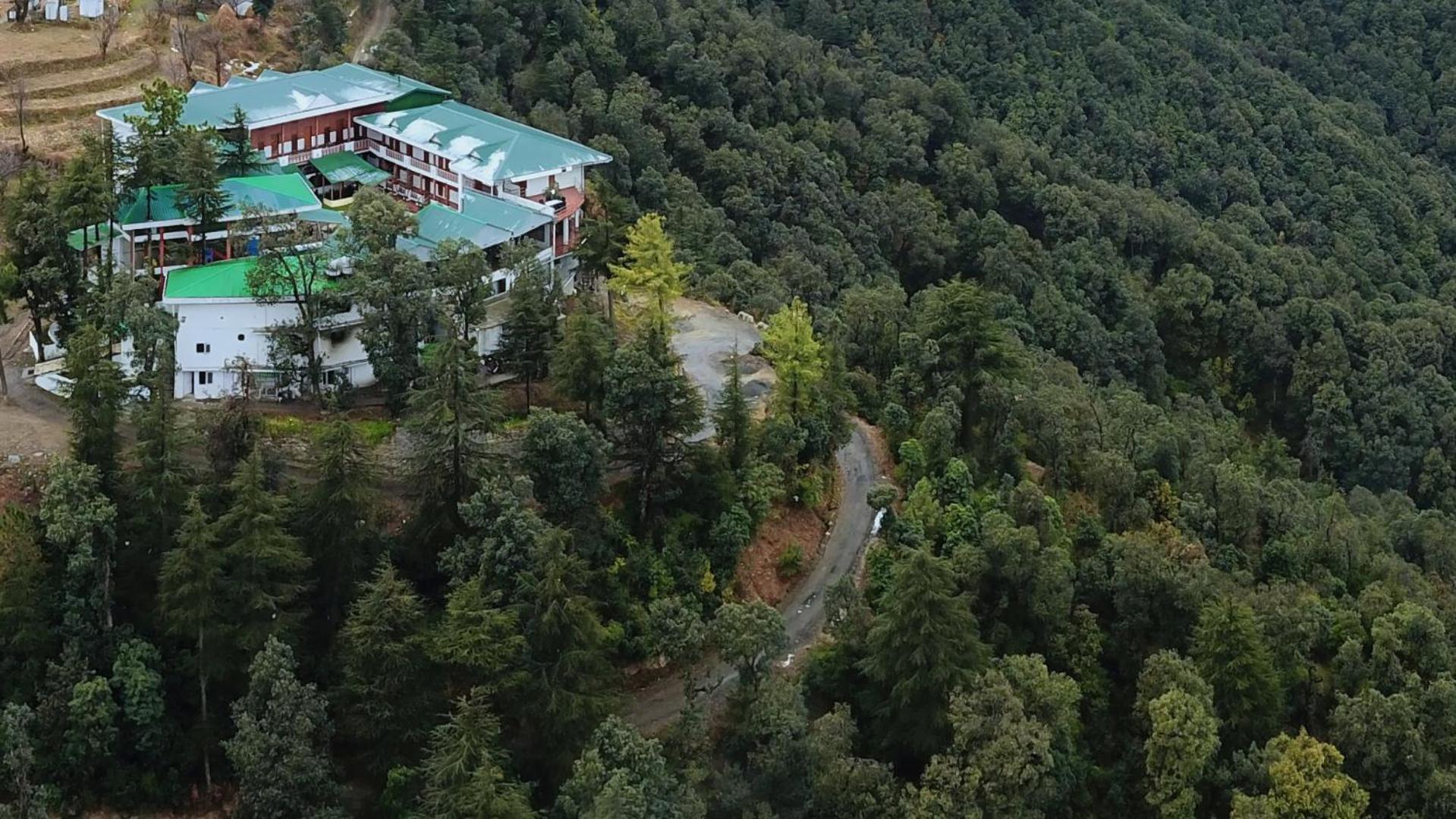 Treehouse Chail Villas Eksteriør bilde